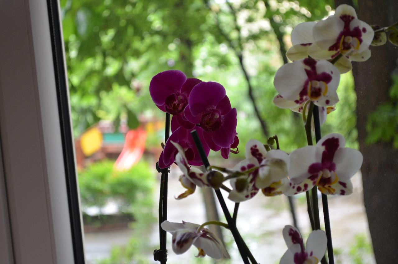 Apartament Orchidea Centrum Варшава Екстериор снимка